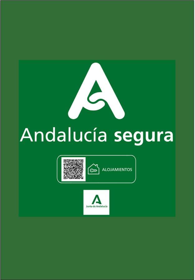Holidays2Malaga Apto Pozos Dulces Acogedor & Balcon & Tranquilo En Centro De 马拉加 外观 照片